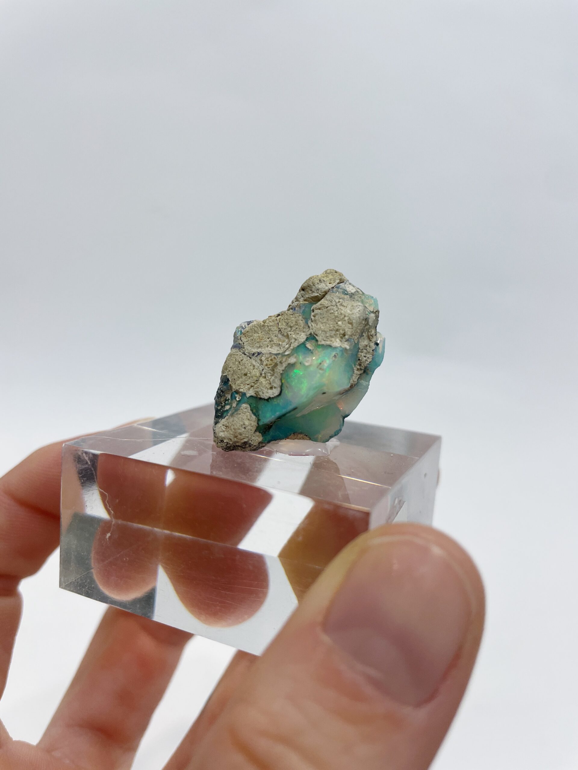 09661EF7-6841-426E-BAF1-ACFA124F4F98