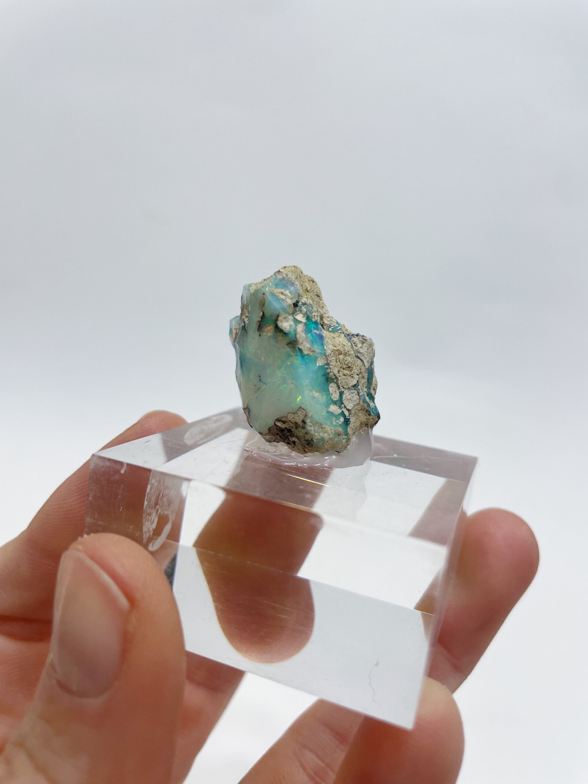 1F4BFBB6-5E1F-4BBB-A96B-3FC68395036F