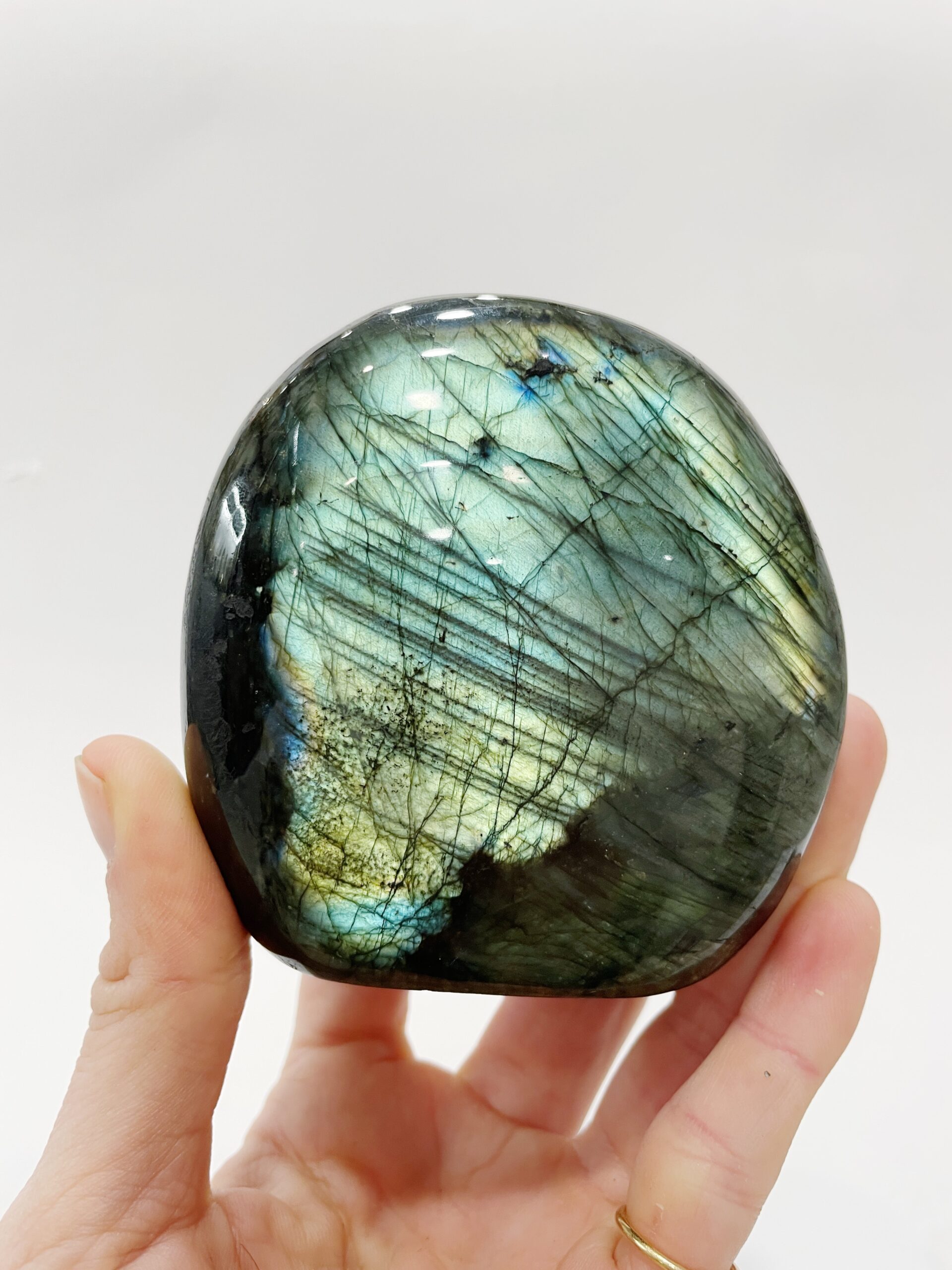 2482D62D-451C-4F52-BD89-819215525F93