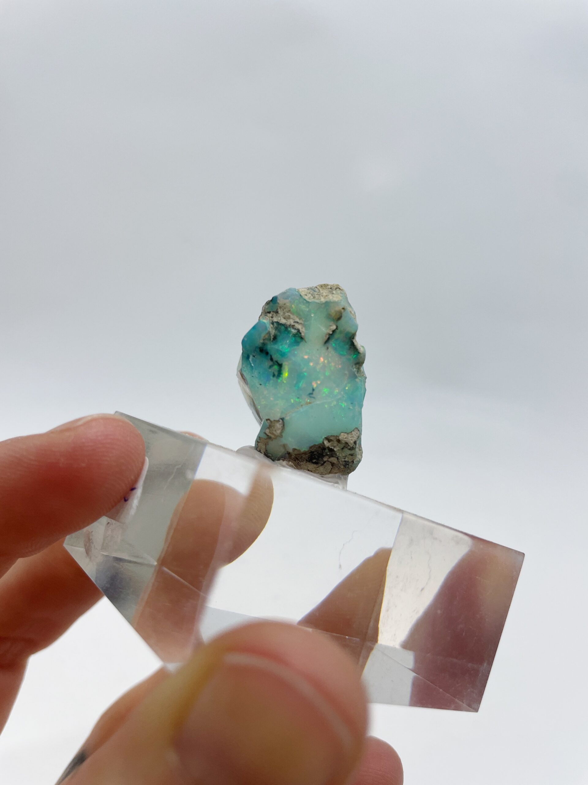 AE16849C-E557-4714-9170-F9BE83179C95